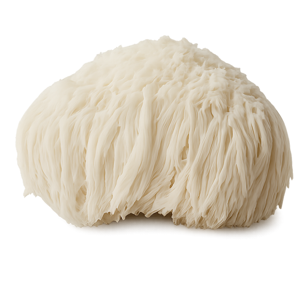 Lion’s Mane